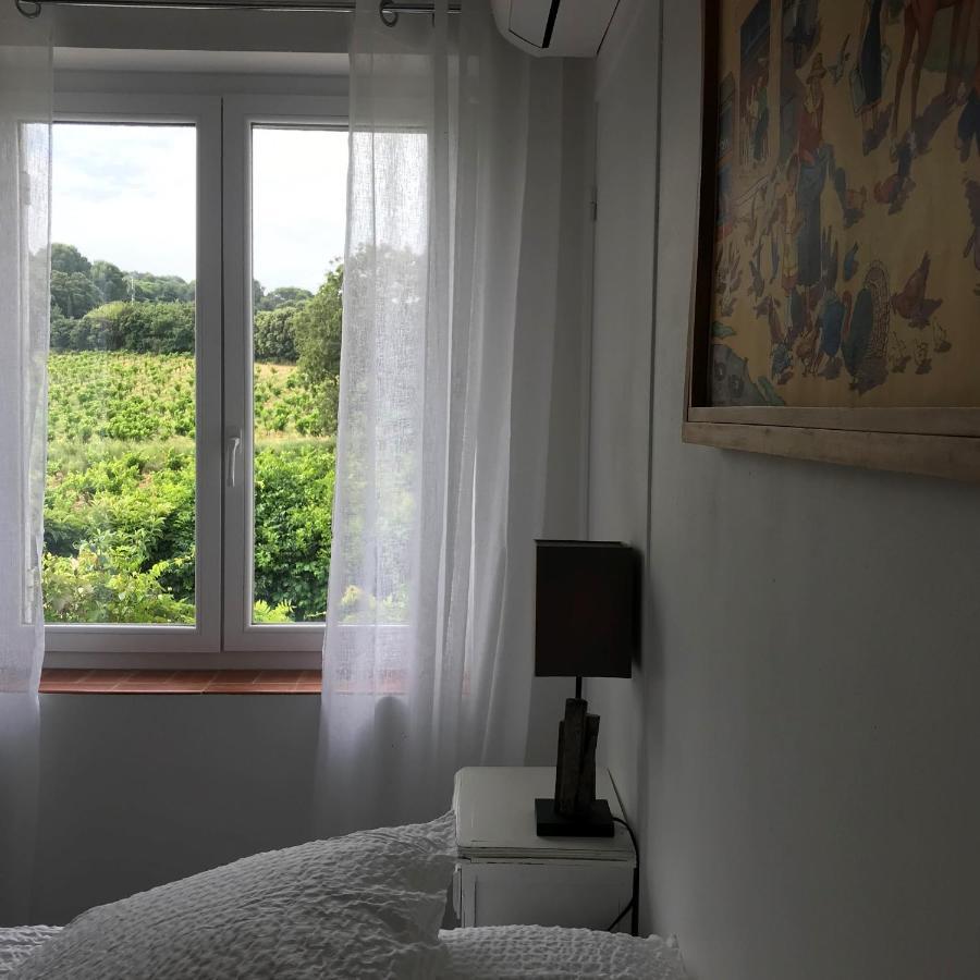 Chambres D'Hotes Et Gites Le Mas Mellou オランジュ エクステリア 写真